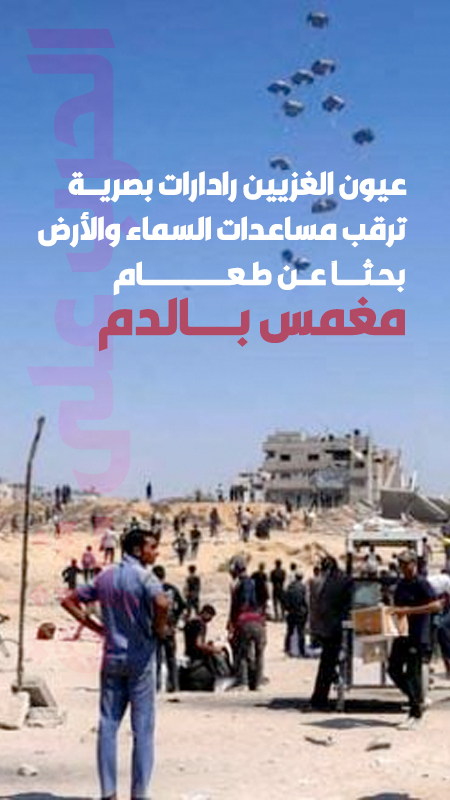 بحثا عن طعام مغمس بالدم
